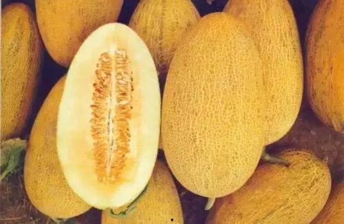 庆嫔吃哈密瓜视频,宫廷美食瞬间走红