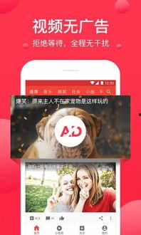 独家爆料吃瓜视频大全下载,吃瓜视频大全下载，一网打尽热门爆料！