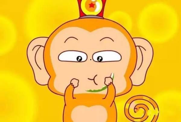 视频猴王吃瓜,瓜果盛宴尽享欢乐时光