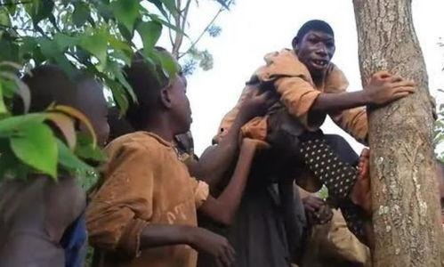 女子返祖吃瓜视频,揭秘返祖现象背后的惊人真相