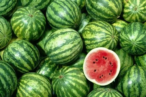 广西人吃鸡瓜视频,鸡瓜视频带你领略美味鸡瓜的魅力