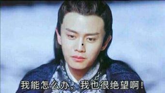 任嘉伦吃瓜完整视频,趣味横生，笑料百出