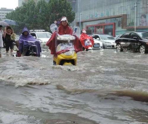 河南家长吃瓜事件视频