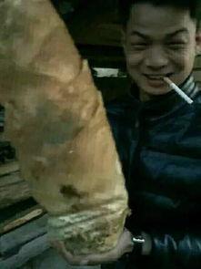 大神整理吃瓜视频